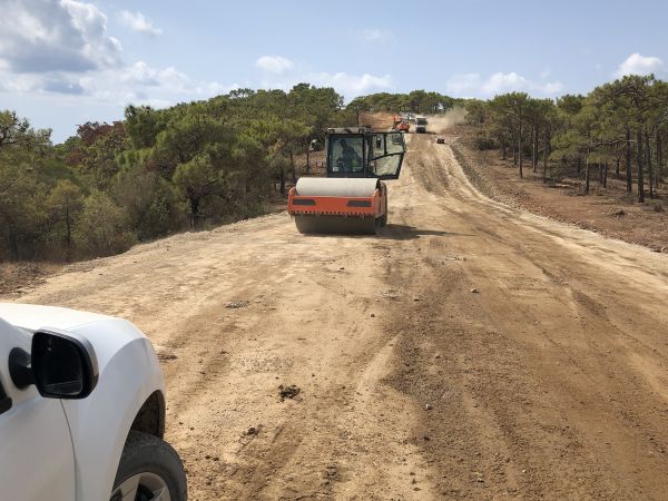 Cost of Driveway Grading in Saint Peters