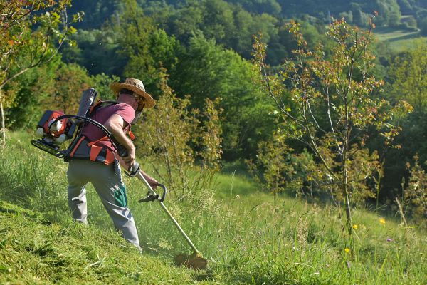 Cost of Slope Trimming in Saint Peters